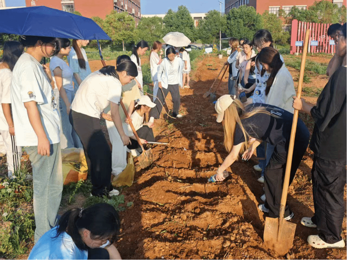 经济管理学院秋耕实践活动总结